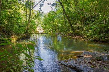Iguazu, Brezilya-14 Mayıs 2016: Iguazu Şelaleleri yakın ormanın ortasında akan güzel küçük nehir