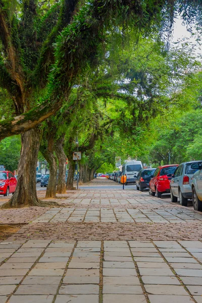 Porto Alegre, Brazílie-květen 06, 2016: pěkný chodník s l, na kterém jsou stromy, auta zaparkovaná vedle chodníku — Stock fotografie