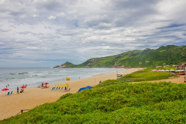 Florianopolis, brasilien - 08. Mai 2016: praia mole einer der vielen strände der stadt, die menschen genießen das schöne wetter — Stockfoto