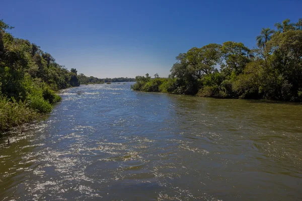 Iguazu, Arjantin - 14 Mayıs 2016: misiones Arjantin Kuzey eyaletinde bulunan Iguazu national park içinde bir nehir manzarası inanılmaz