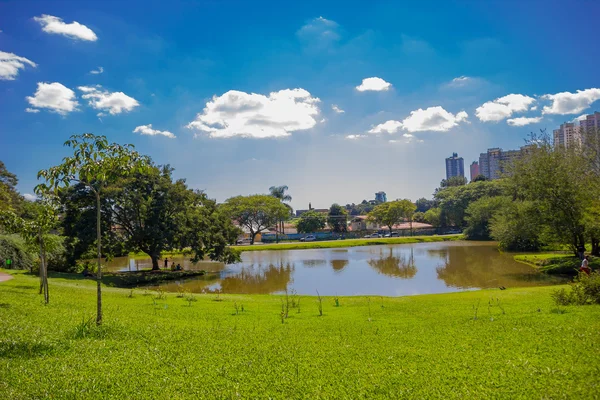巴西库里蒂巴-2016年5月12日: 美丽的小湖位于植物园, 城市天际线为背景 — 图库照片