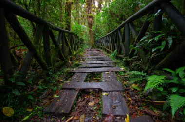 Pasto, Kolombiya - 3 Temmuz 2016: la cotora, la cocha Gölü küçük ada bulunan ahşap merdiven yol