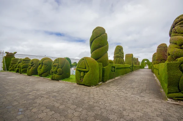 ULCAN, ECUADOR - 3 LUGLIO 2016: il giardino cimiteriale è famoso per il suo fantastico topiario — Foto Stock