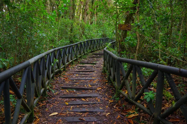 PASTO, COLOMBIA - JULY 3, 2016: nice wood path located in la cotora island in the middle of la cocha lake — Stock Photo, Image