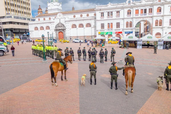 Pasto, Kolombiya - 3 Temmuz 2016: bir exibithion polis köpekleri ve atları ile hazırlanması Ulusal polis Kolombiya — Stok fotoğraf