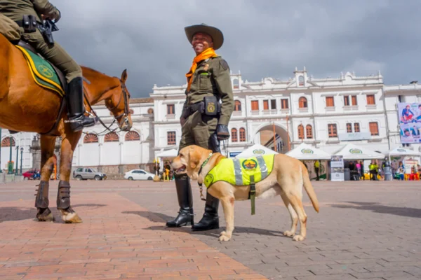 Pasto, Kolombiya - 3 Temmuz 2016: Merkez meydanda bir atın yanında duran polis köpeği ile kimliği belirsiz polis — Stok fotoğraf