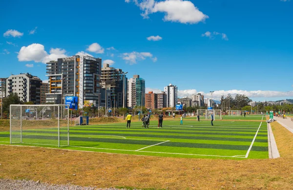 QUITO, ECUADOR - 8 AUGUST, 2016: Группа людей, стоящих на футбольном поле, расположенном в центре городского парка Ла Каролина, искусственная зеленая трава поверхность, здания видимый фон, красивый солнечный день — стоковое фото