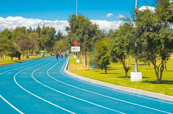 Pista da corsa atletica di colore blu situata nel parco interno della città, alberi circostanti e bella giornata di sole — Foto Stock
