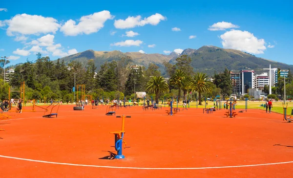 Instalação de treinamento público com variação de dispositivos de exercício espalhados, parque de férias, belo dia ensolarado — Fotografia de Stock