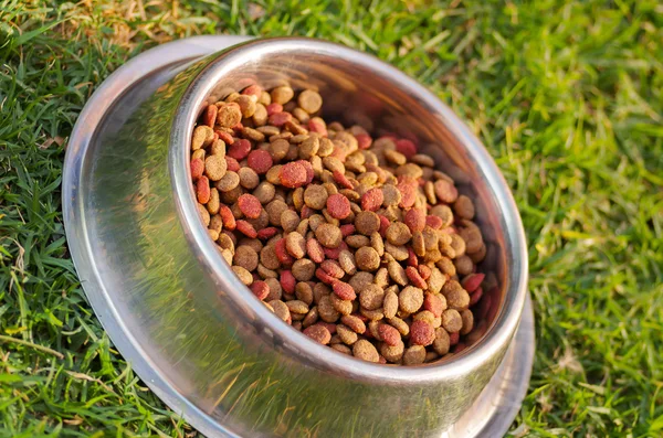 Closeup metal bowl with fresh dog food sitting on green grass, animal nutrition concept — Stock Photo, Image