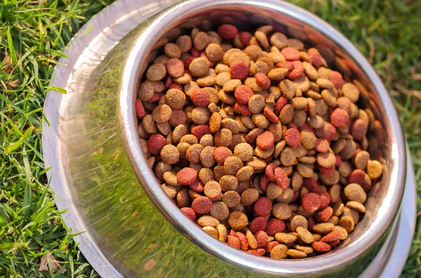 Closeup metal bowl with fresh dog food sitting on green grass, animal nutrition concept — Stock Photo, Image