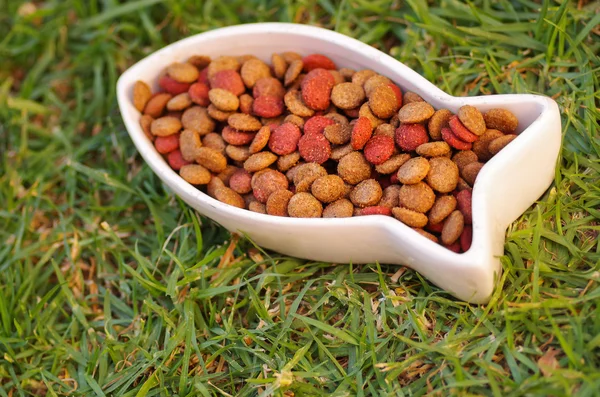 Closeup fish shaped white bowl with fresh dog food sitting on green grass, animal nutrition concept — Stock Photo, Image
