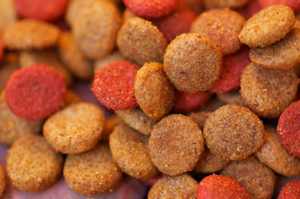 Closeup pile of fresh red and brown colored crunchy dog food — Stock Photo, Image