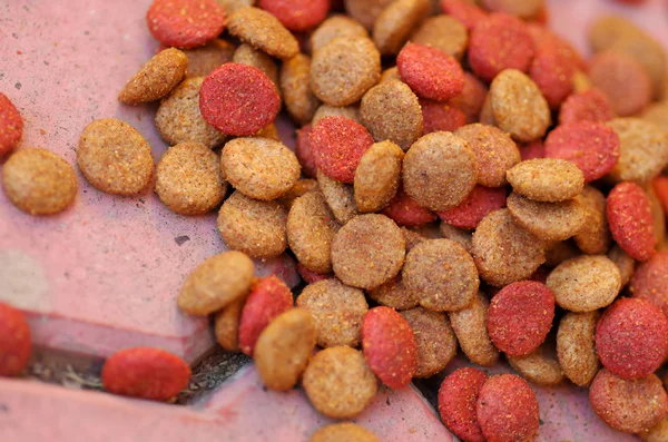 Closeup pile of fresh red and brown colored crunchy dog food lying on stone tiles surface — Stock Photo, Image