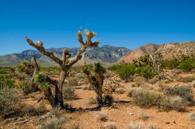 Maltepe Ölüm Vadisi Milli Parkı