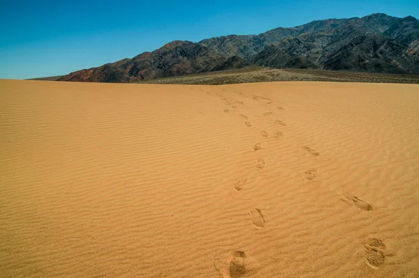 Sand-dynelandskapet Death Valley nasjonalpark – stockfoto