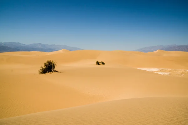 Sanddünenlandschaft Death Valley Nationalpark — Stockfoto