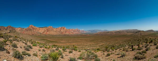 Red canyon Death Valley National Park — Stock Photo, Image