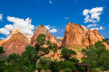 Zion national park peyzaj