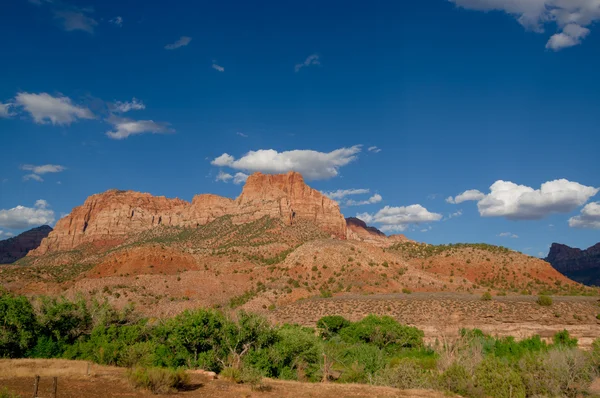 Zion national park landscape — Stock Photo, Image