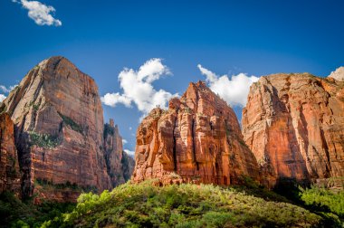 Zion national park peyzaj