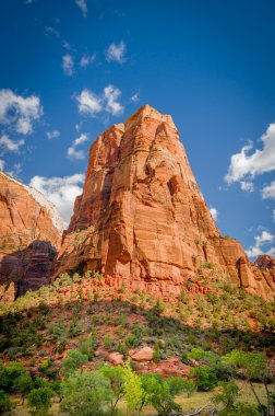 Zion national park peyzaj