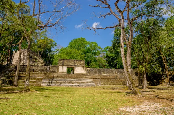 Cahal pech cayo belize — Stock Photo, Image