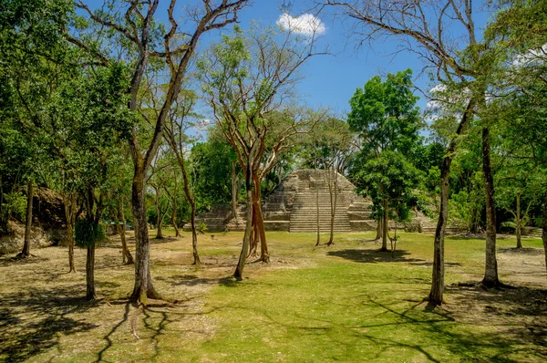 Cahal pech cayo belize — Stock Photo, Image