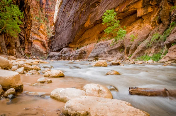 Fiume vergine nel parco nazionale di Zion utah — Foto Stock