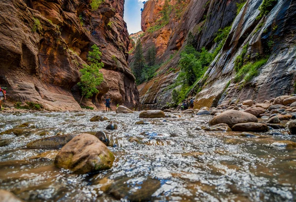 Rio virgem no parque nacional de zion utah — Fotografia de Stock