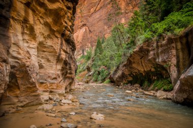 virgin river in zion national park utah clipart