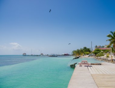 Caye caulker, belize Karayipler