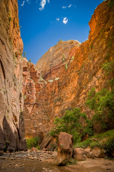 Virgin river w stanie utah park narodowy zion — Zdjęcie stockowe