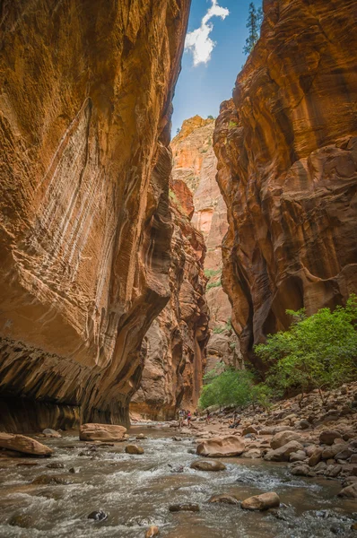 Virgin river in zion national park utah — Stock Photo, Image