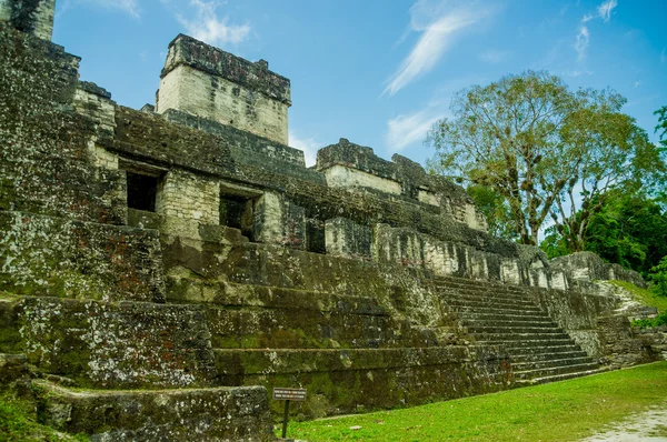 Tikal Maya ruiner i guatemala — Stockfoto