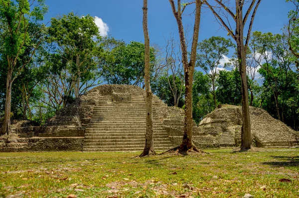 Cahal pech cayo belize — Stockfoto