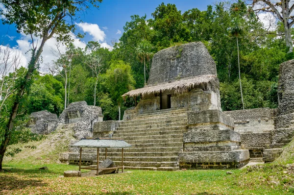 Tikal Guatemala'da mayan ruins — Stok fotoğraf