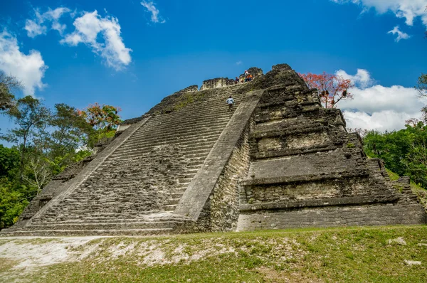 Tikal mayské zříceniny v Guatemale — Stock fotografie