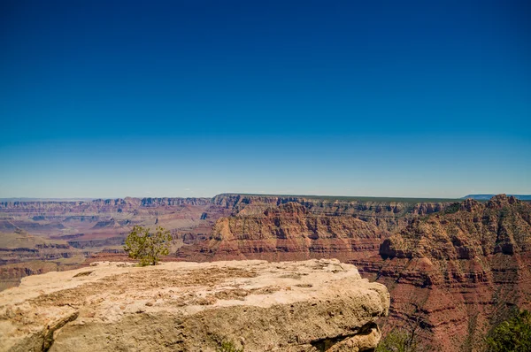 Grand Canyon nasjonalpark-prosjekt – stockfoto
