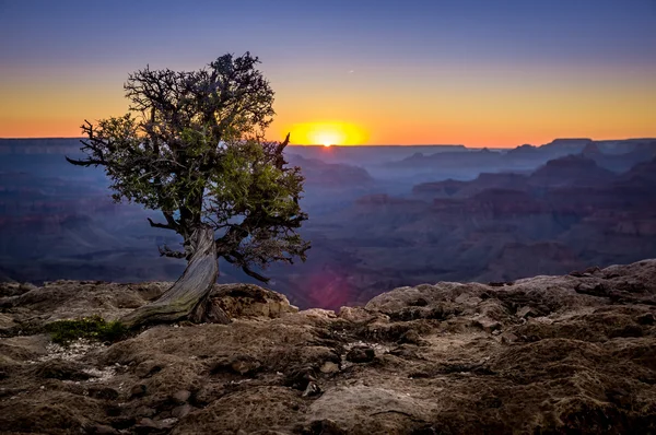 Parque Nacional del Gran Cañón Arizona — Foto de Stock