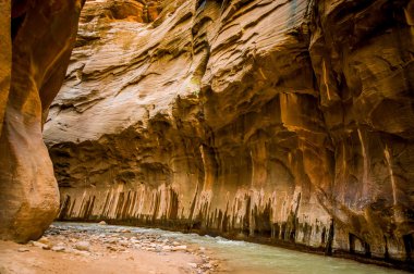 Virgin rivier in zion national park (Utah)
