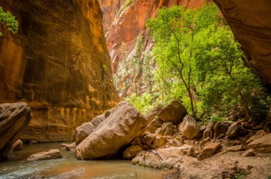 Virgin rivier in zion national park (Utah)
