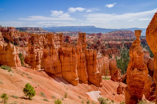 Bryce cañón parque nacional utah — Foto de Stock