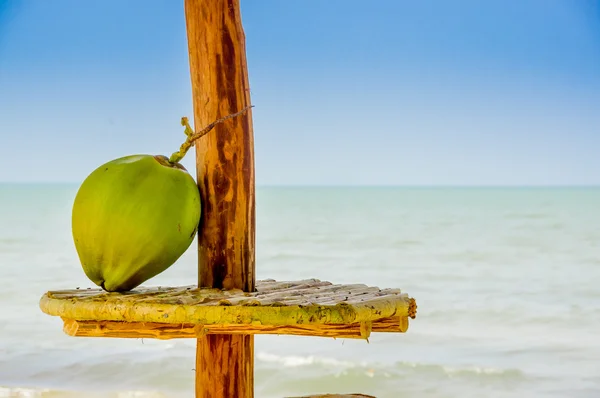 Kokos na chatě tabulka s mořem v pozadí livingston guatemala — Stock fotografie