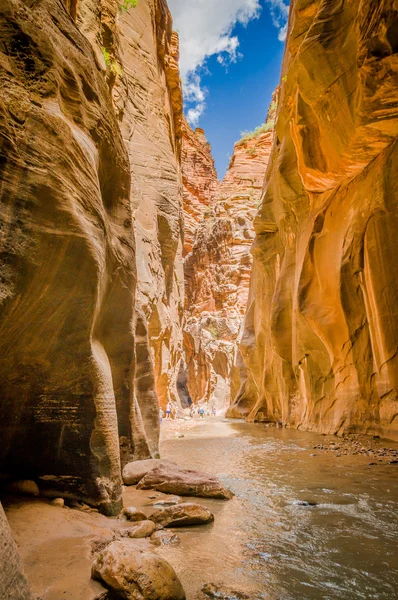 Virgin river w stanie utah park narodowy zion — Zdjęcie stockowe