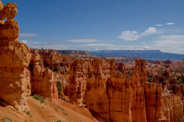 Bryce canyon nationalpark utah — Stockfoto