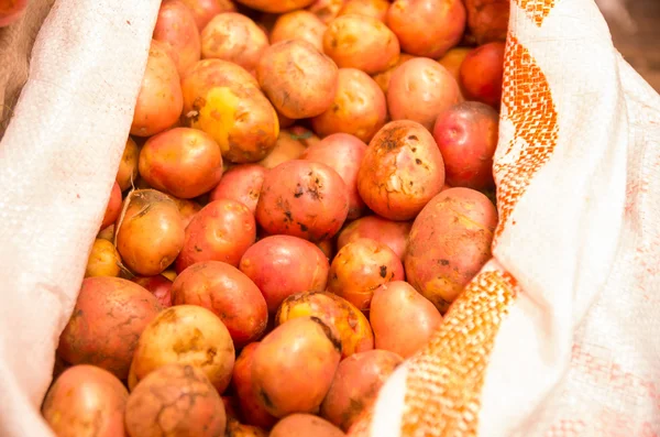 Marknaden potatis — Stockfoto