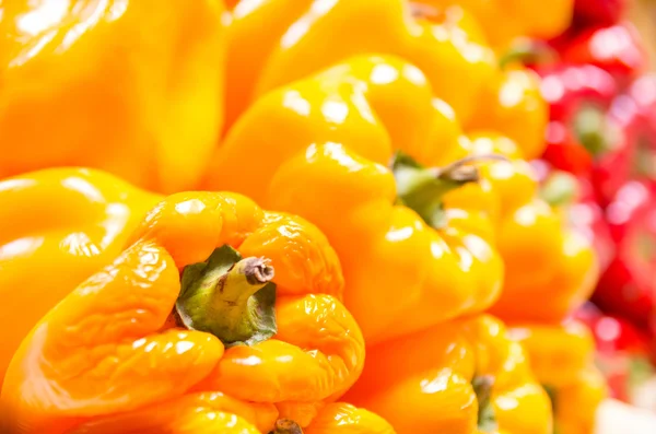 Peperone giallo peperone — Foto Stock