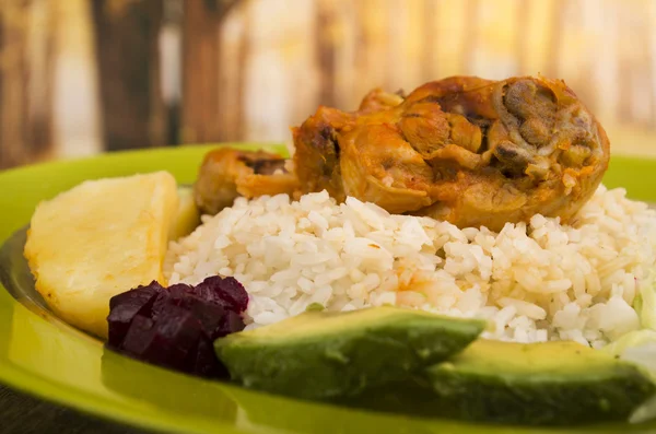 닭고기와 흰 쌀 감자 접시에 봉사 — 스톡 사진
