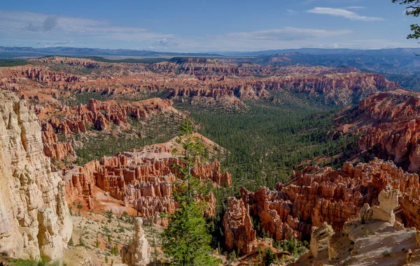 Bryce canyon nationalpark utah — Stockfoto